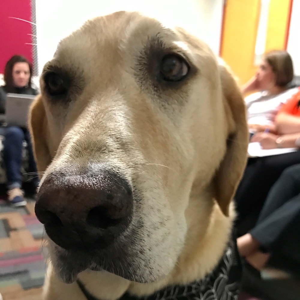 Meet your Posher, Kim